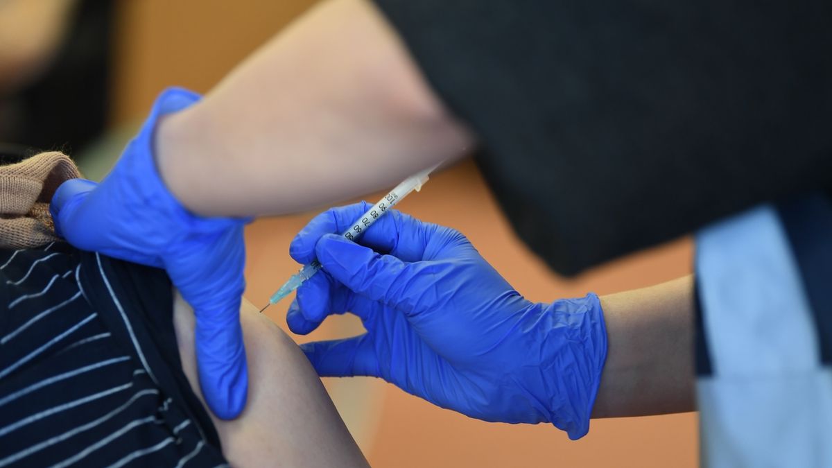 Imunolog: Běžný alergik se očkování bát nemusí